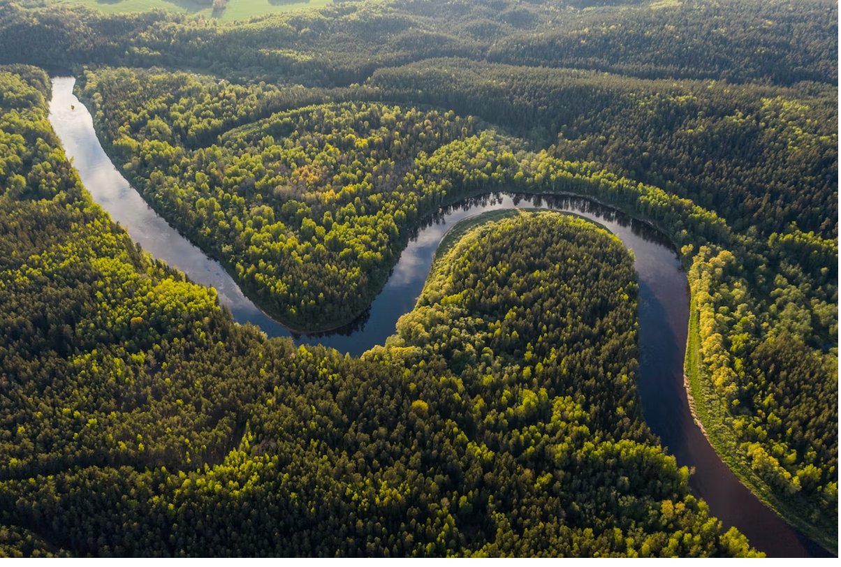 Vista aérea de la selva amazónica con un río serpenteante